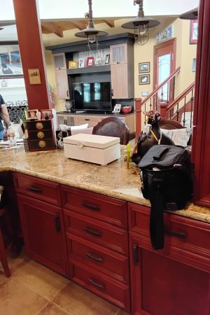 q-kitchen-bath-balboa-island-15